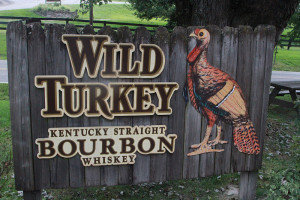 Wild Turkey Sign